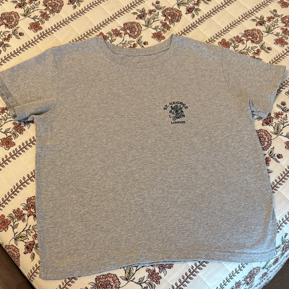 Brandy Melville Gray T-Shirt -St George London